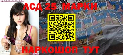mdpv Новодвинск