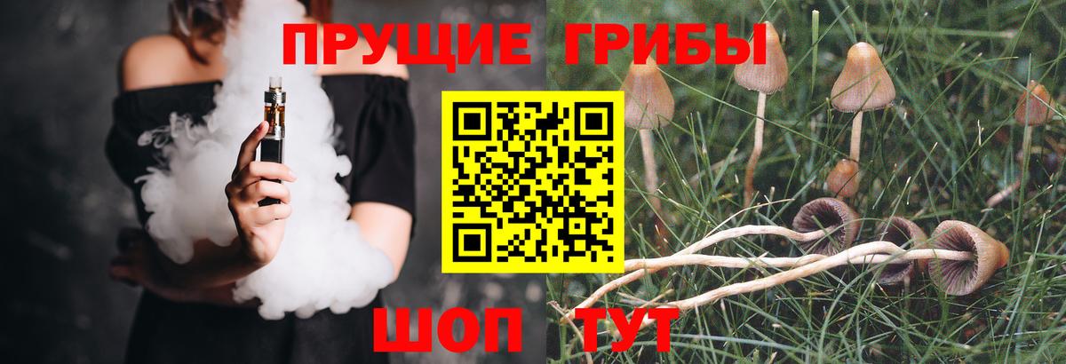 Ступино  Псилоцибиновые грибы ЛСД  Вход с VPN 