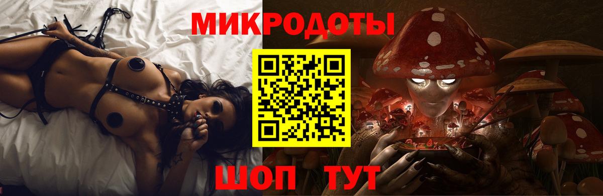 Галлюциногенные грибы Psilocybine cubensis Ступино
